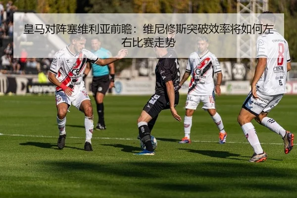 img_1784039491739_844_1_431.jpg